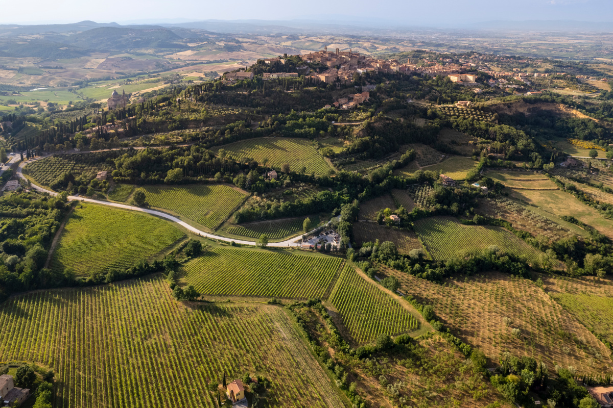 Vino Nobile Montepulciano 2022: annata dei record